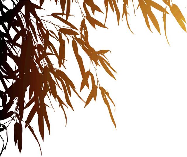 中国风古典竹子