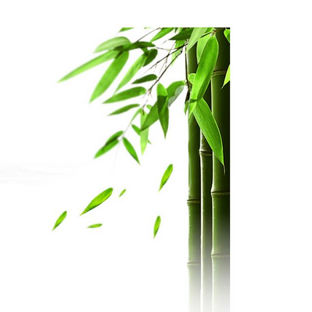 翠绿色的竹子