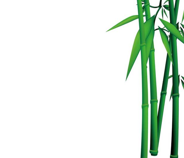 翠绿的竹子素材源文件