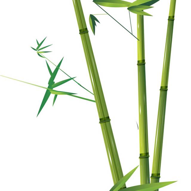 翠绿的竹子源文件元素下载