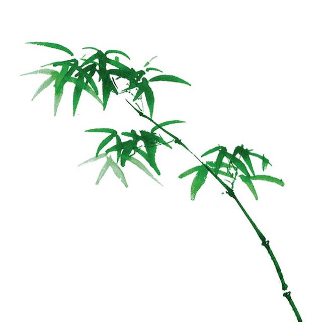 翠绿的竹子源文件素材
