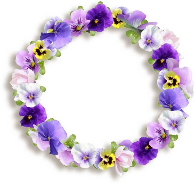 紫罗兰花环