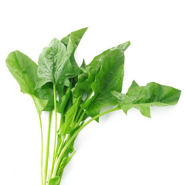 菠菜设计元素