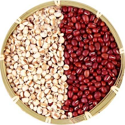 红豆薏米素材
