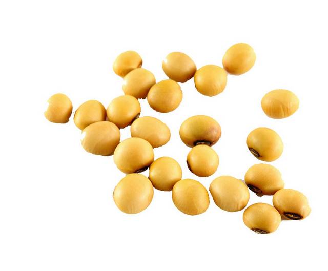 黄豆食物png素材