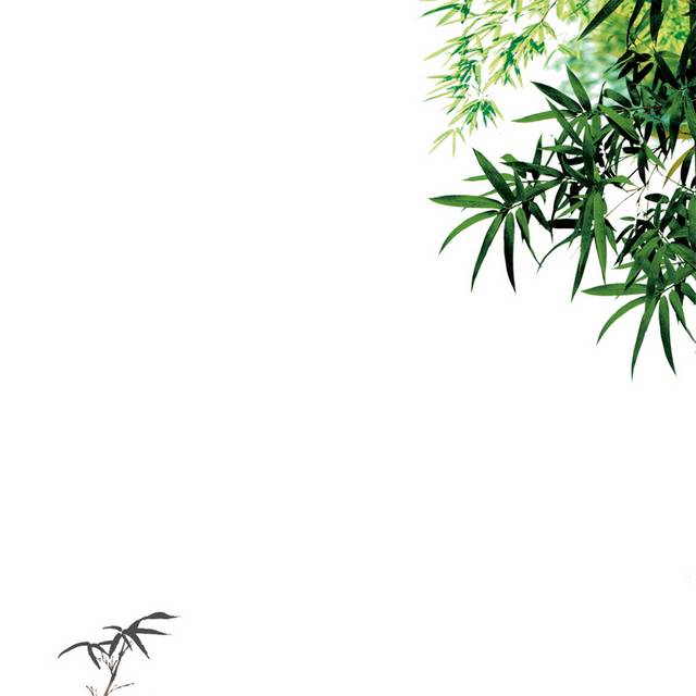 竹子手绘素材