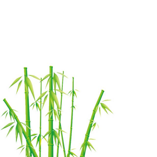 绿色竹子手绘素材