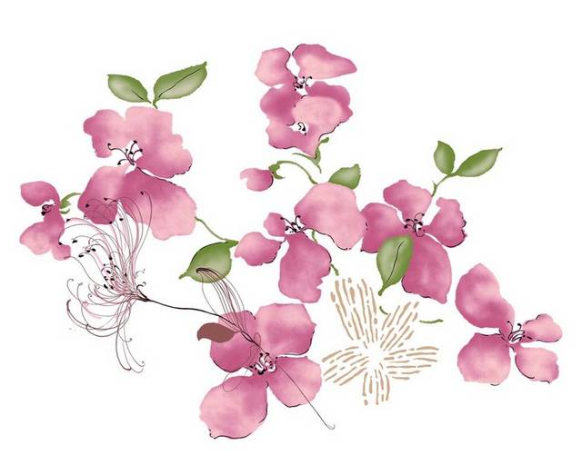 手绘粉色紫罗兰花