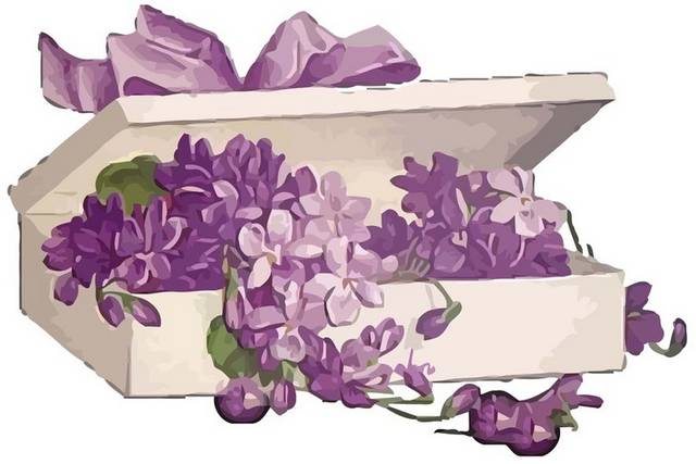 手绘礼盒中的紫罗兰