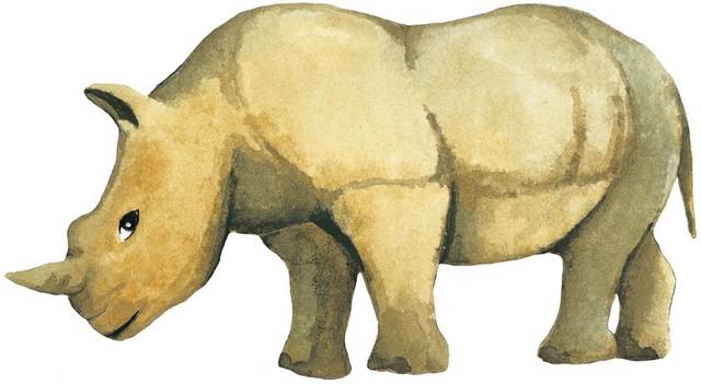 手绘一只犀牛