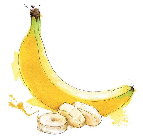 手绘香蕉设计元素