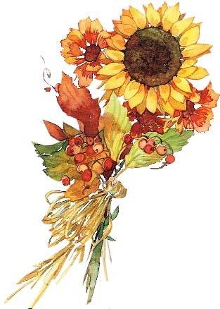 手绘一朵向日葵花