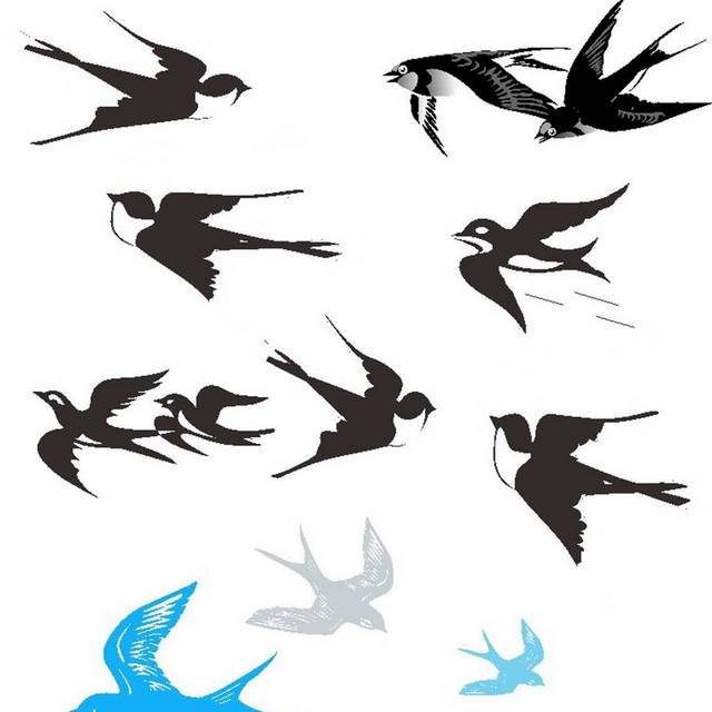 一群飞翔的燕子