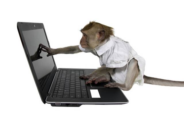 电脑前的猩猩
