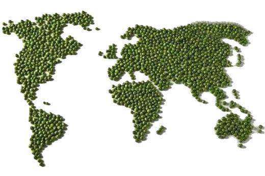 世界地图绿豆