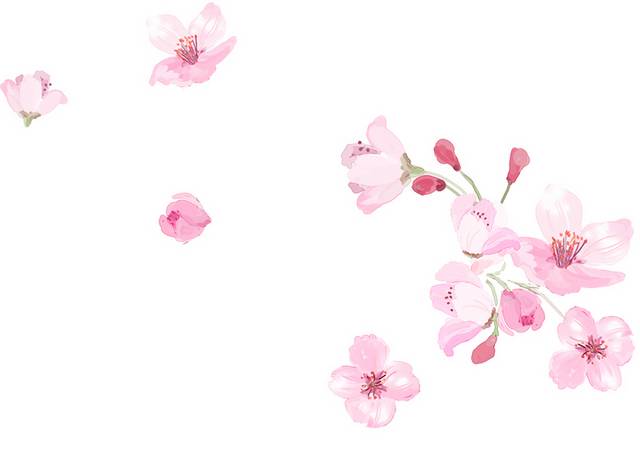 樱花花瓣设计元素