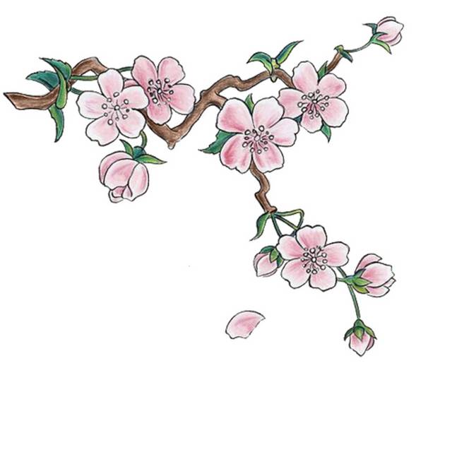 手绘樱花树枝素材