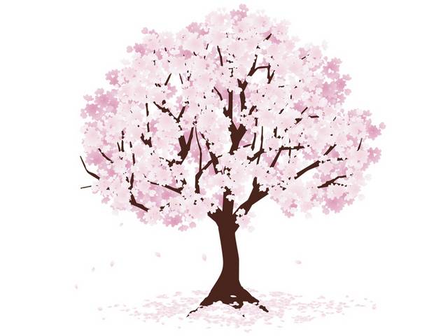 手绘樱花树素材