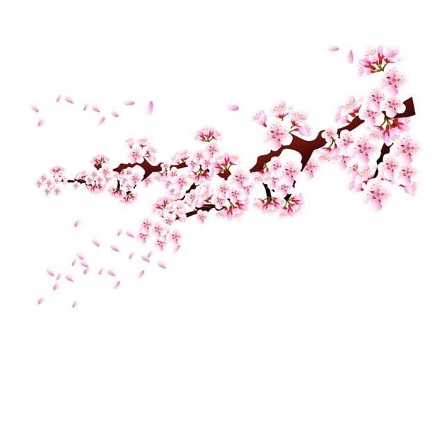 樱花矢量设计素材
