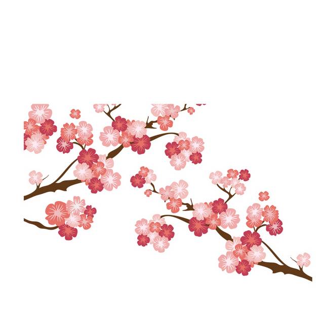 樱花树枝