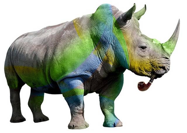 彩色的犀牛