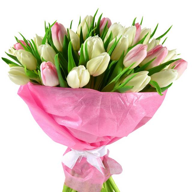 一大束郁金香花