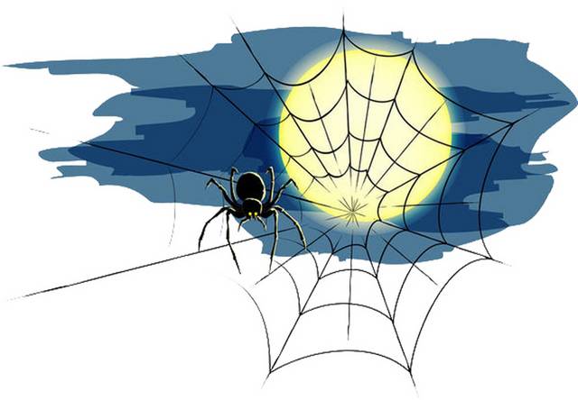 蜘蛛插画元素