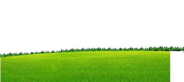免抠草地素材