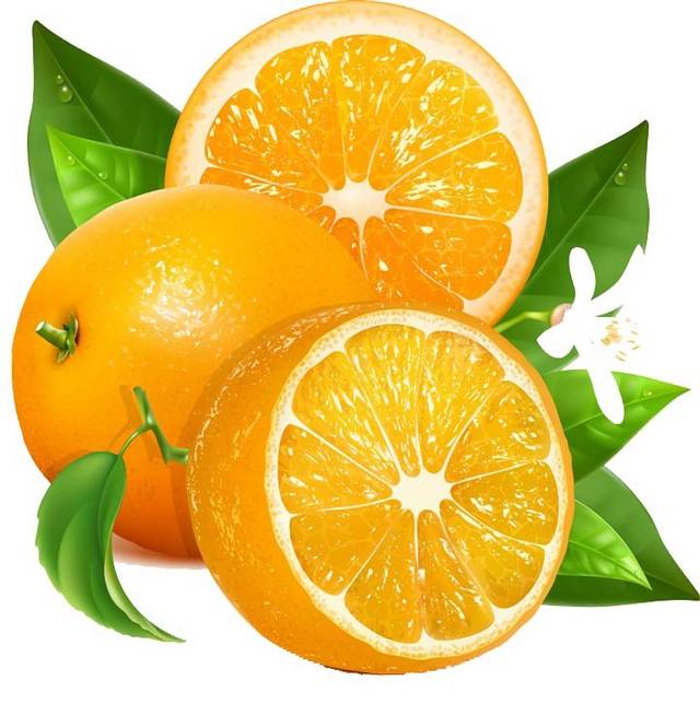 美味橙子素材