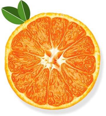 矢量橙子设计元素