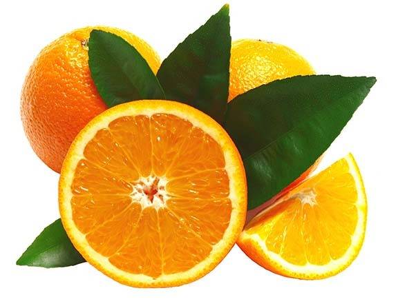 橙子设计元素