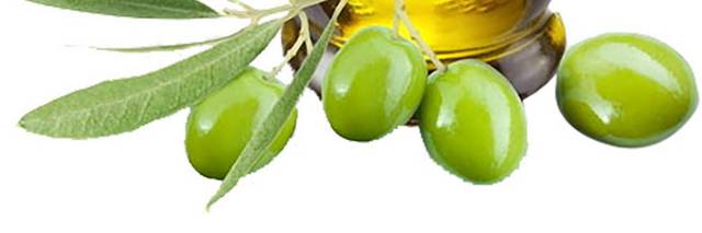 橄榄油png素材