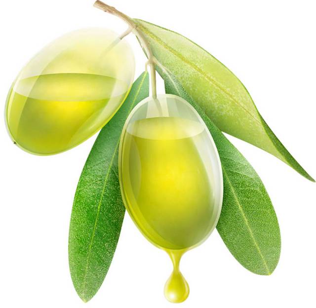创意橄榄油素材