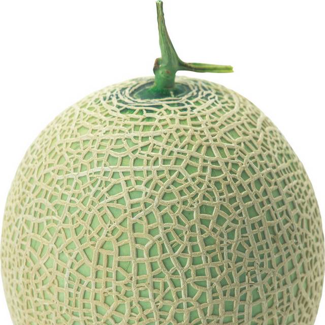 哈密瓜png素材