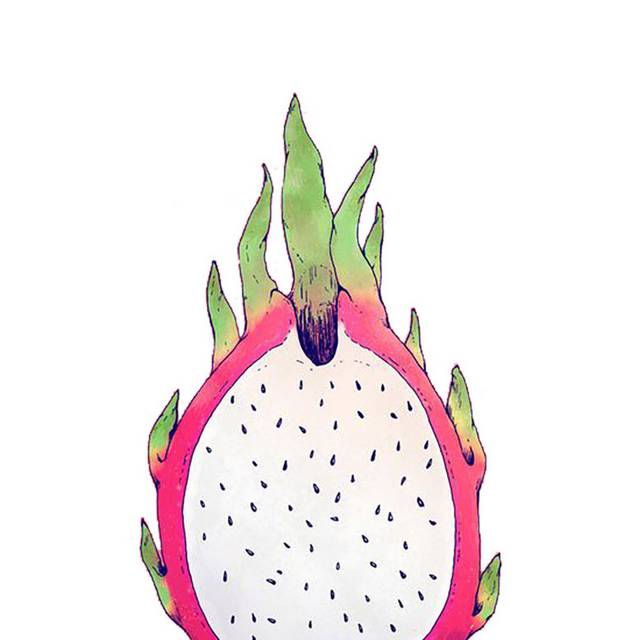 手绘火龙果插画