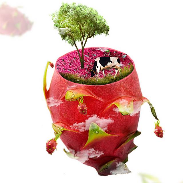 创意火龙果元素