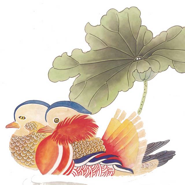 国画鸳鸯