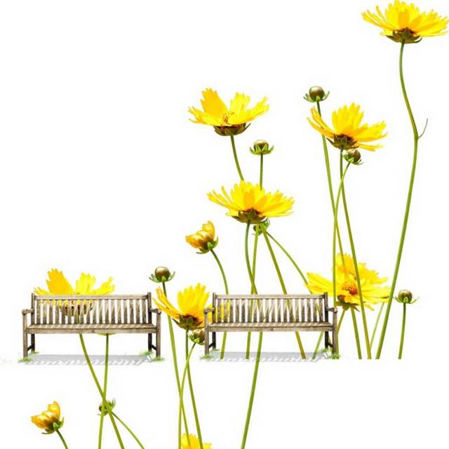 唯美长椅花卉素材