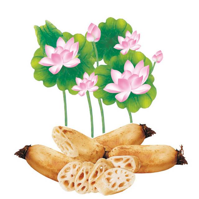 藕元素