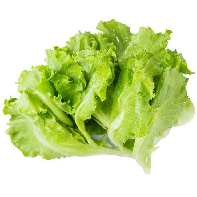生菜叶子素材