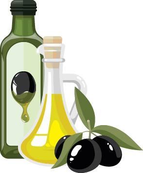 橄榄油素材设计