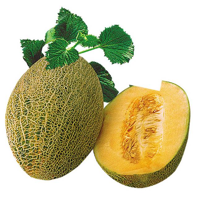 大哈密瓜
