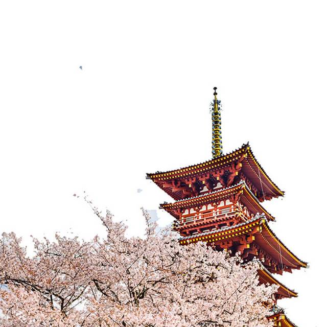 日式塔建筑