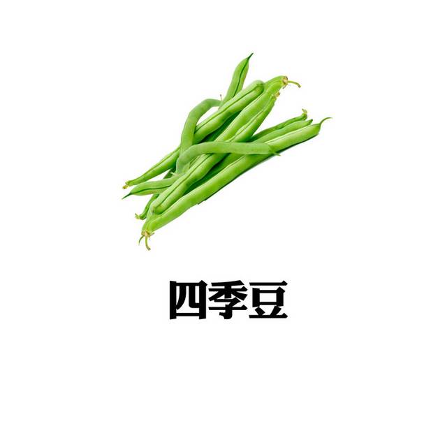 新鲜四季豆素材下载