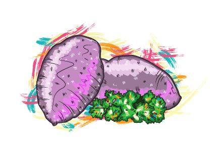 两颗手绘紫薯