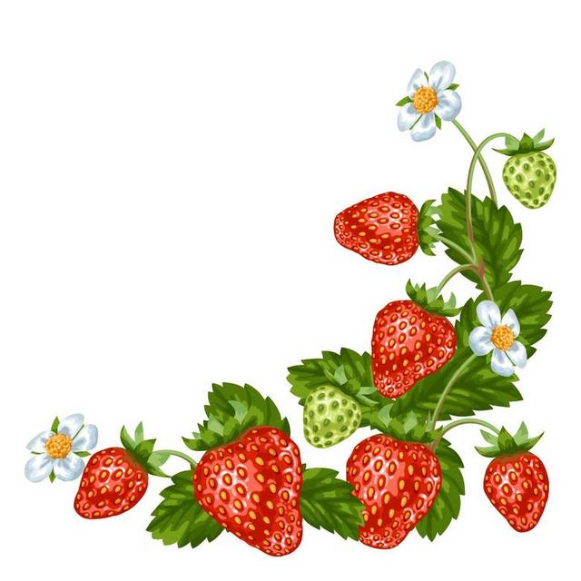 清新手绘草莓