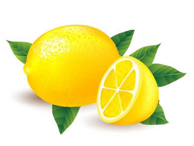 手绘金黄的柠檬