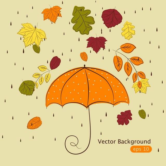 秋季的橙色雨伞