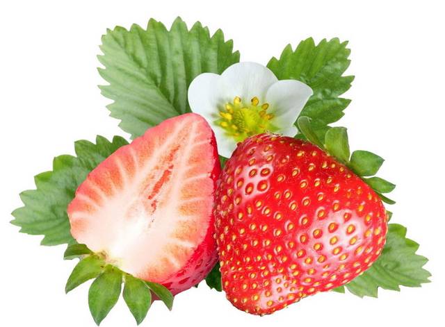 美味水果素材草莓