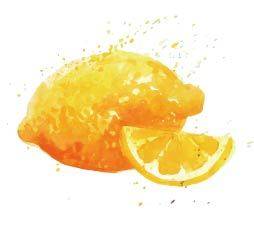 水彩手绘柠檬